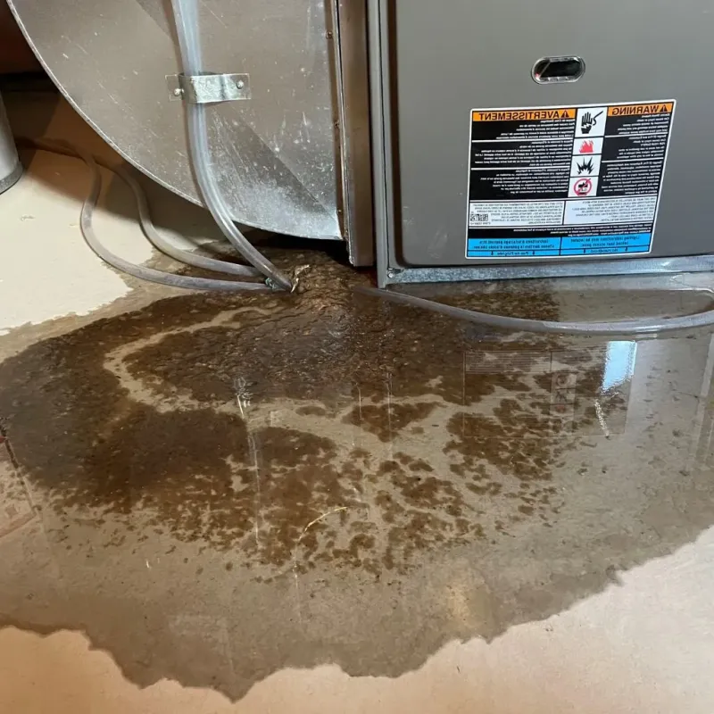 Pipe Burst and Leak Restoration in Arroyo Seco, NM
